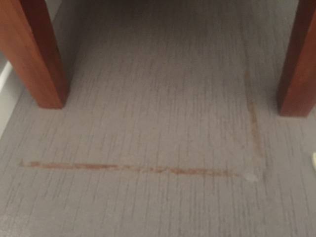 Stain Before Carpet Cleaner Gold Coast