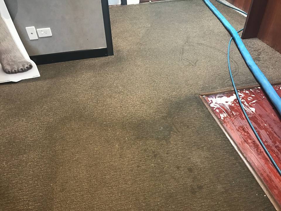 gold coast carpet cleaning